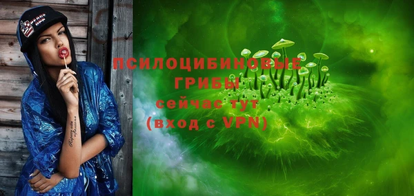 стафф Няндома