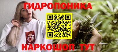 ПСИЛОЦИБИНОВЫЕ ГРИБЫ Гусев
