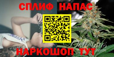 ПСИЛОЦИБИНОВЫЕ ГРИБЫ Гусев