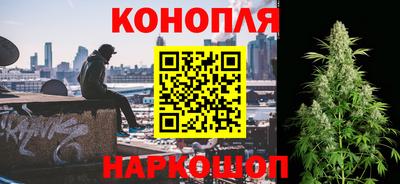 ПСИЛОЦИБИНОВЫЕ ГРИБЫ Гусев